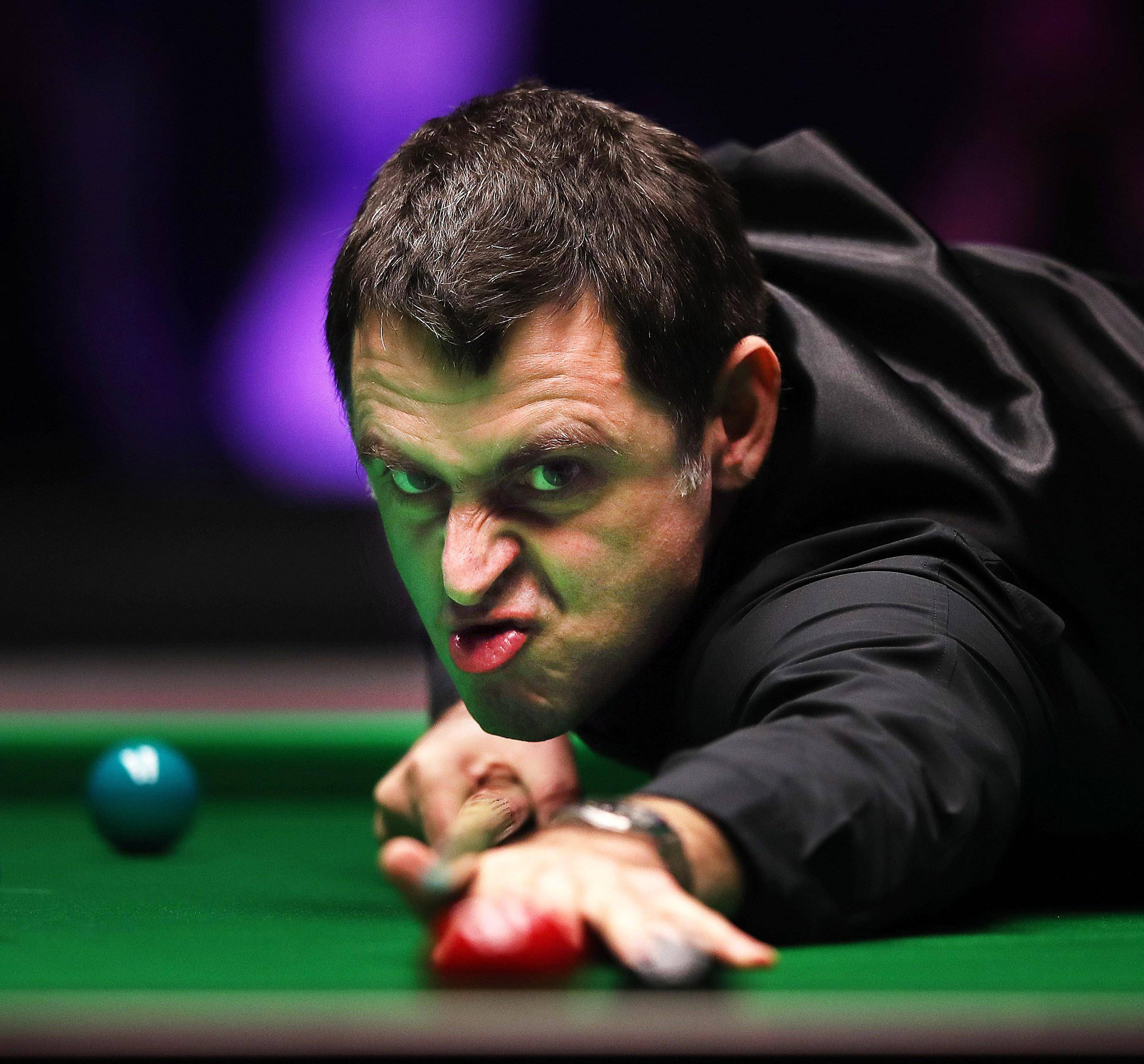 充满智慧的 充满智慧的