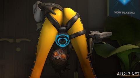 根据统计分 根据统计分